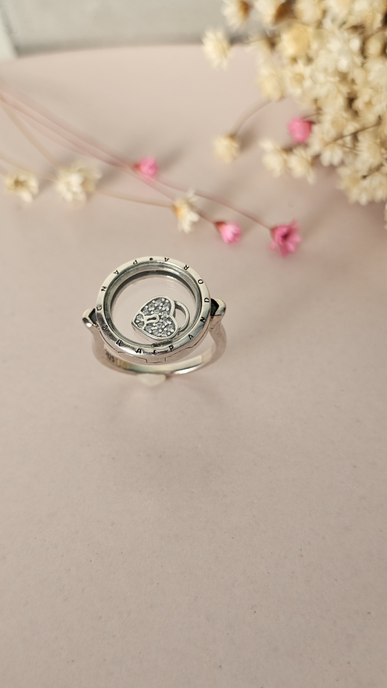 Anel inspiração porta pins - #4