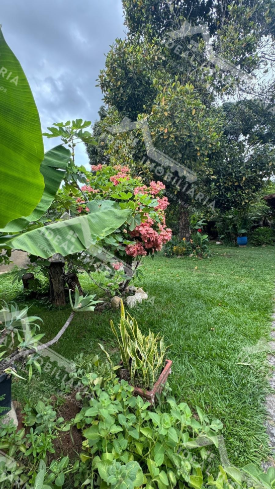 LOTE À VENDA - CENTRO DE MANTENA - #10