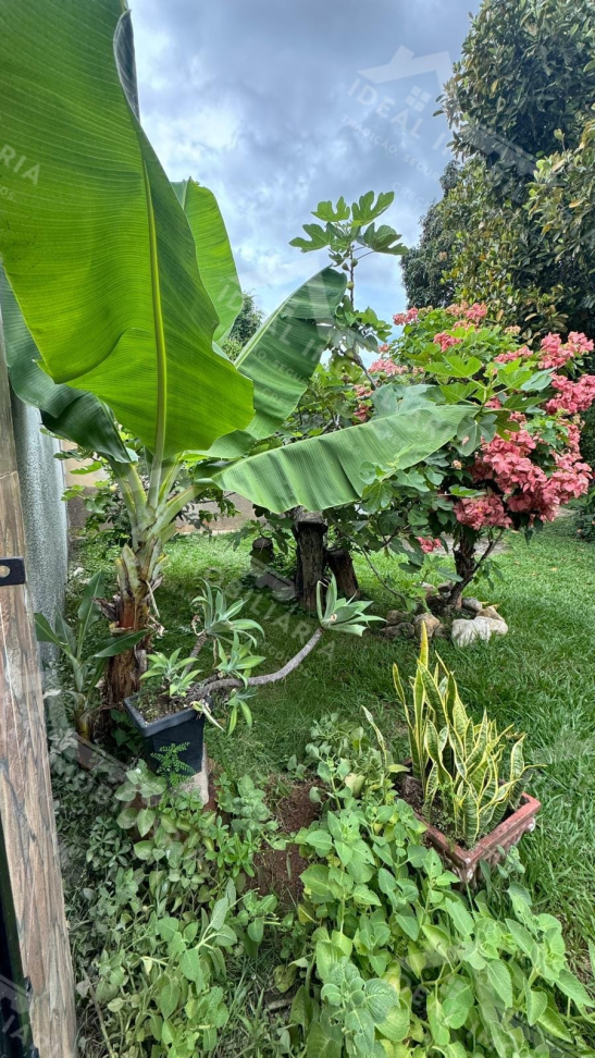 LOTE À VENDA - CENTRO DE MANTENA - #4