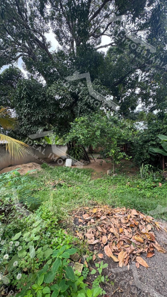 LOTE À VENDA - CENTRO DE MANTENA - #2