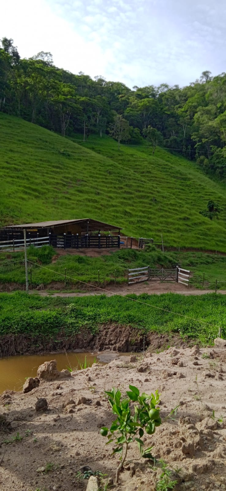 ÁREA RURAL À VENDA - Córrego Turvinho - #5