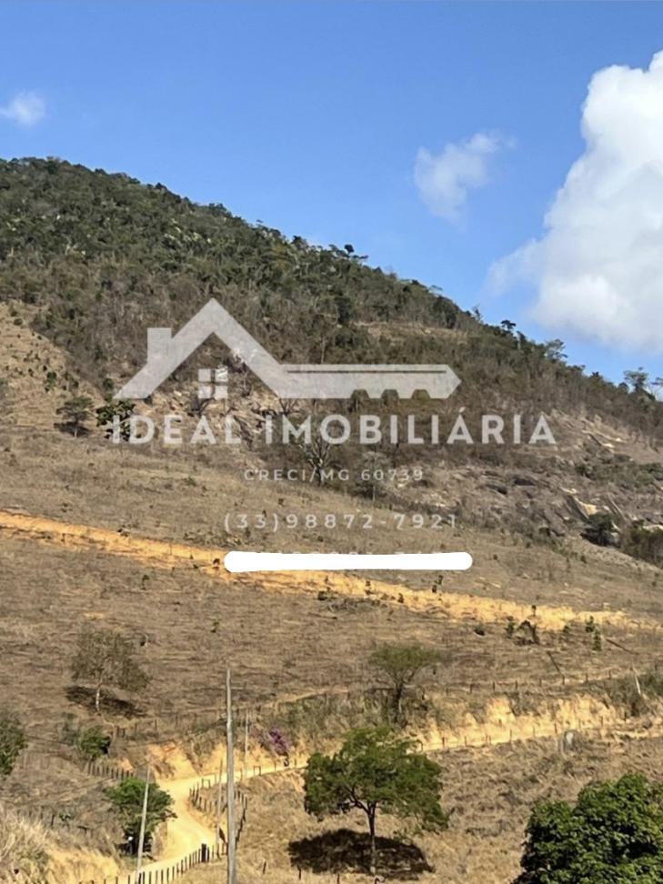 2 ALQUEIRES À VENDA - Mantena/MG - #1