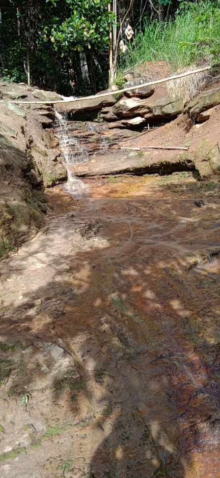 ÁREA RURAL À VENDA - Córrego Turvinho - #6