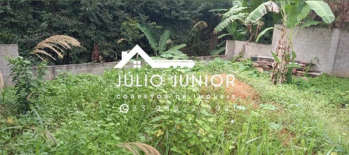 LOTE A VENDA - Bananal - #5