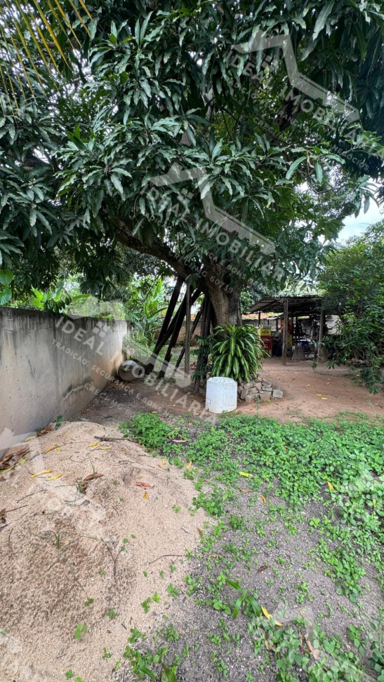 LOTE À VENDA - CENTRO DE MANTENA - #6