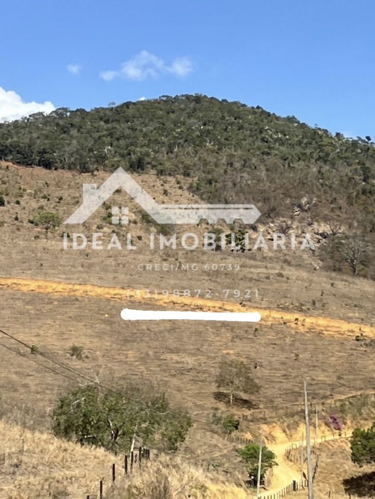 2 ALQUEIRES À VENDA - Mantena/MG - #1