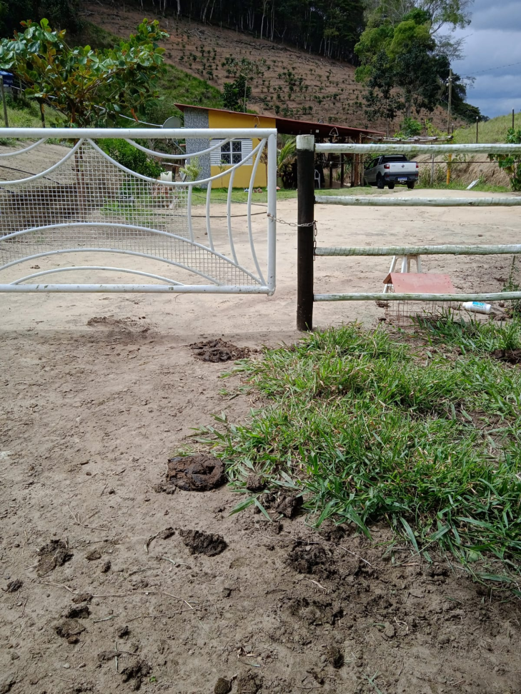 ÁREA RURAL À VENDA - Córrego Turvinho - #7