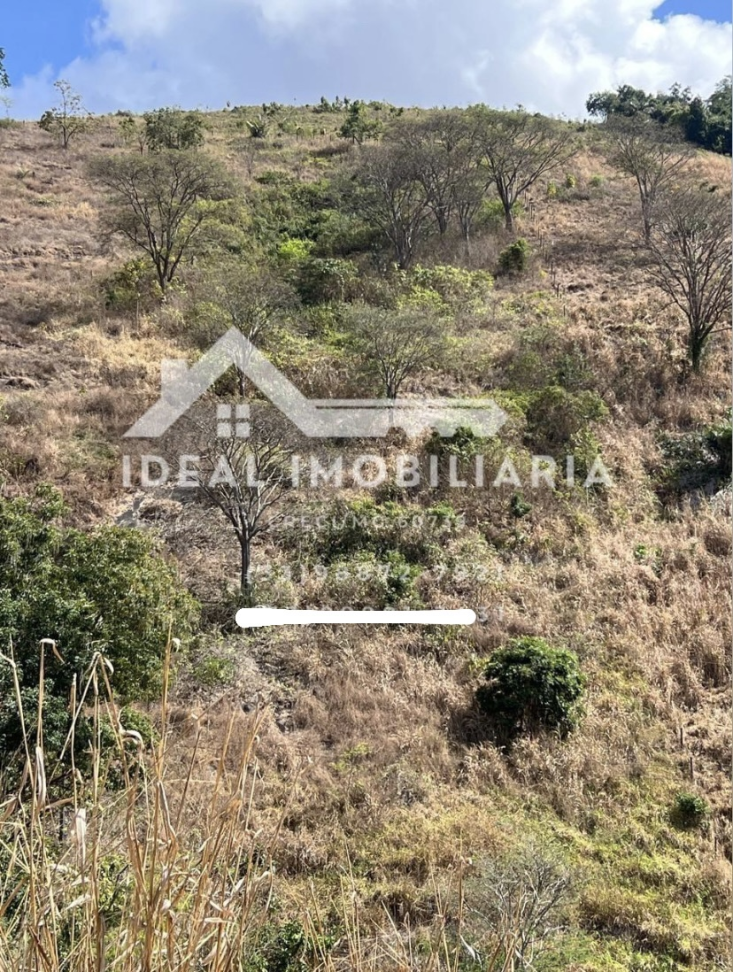 2 ALQUEIRES À VENDA - Mantena/MG - #1