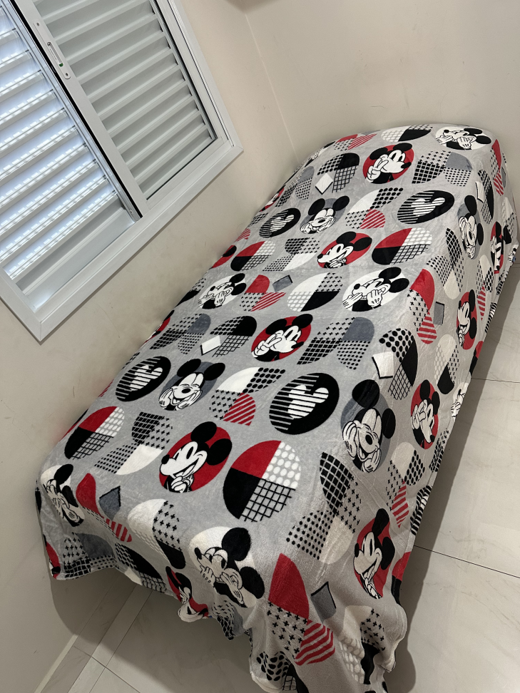 Manta Flannel Personagem - #2