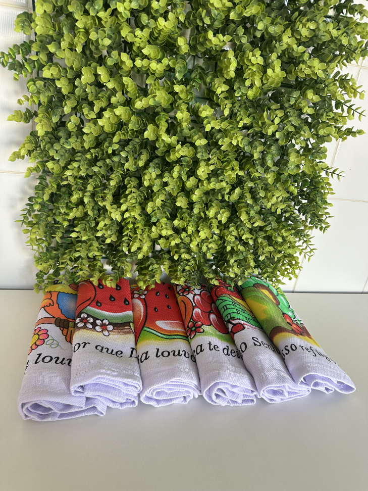 Kit 6 Panos De Prato Grande 45x80cm - #22