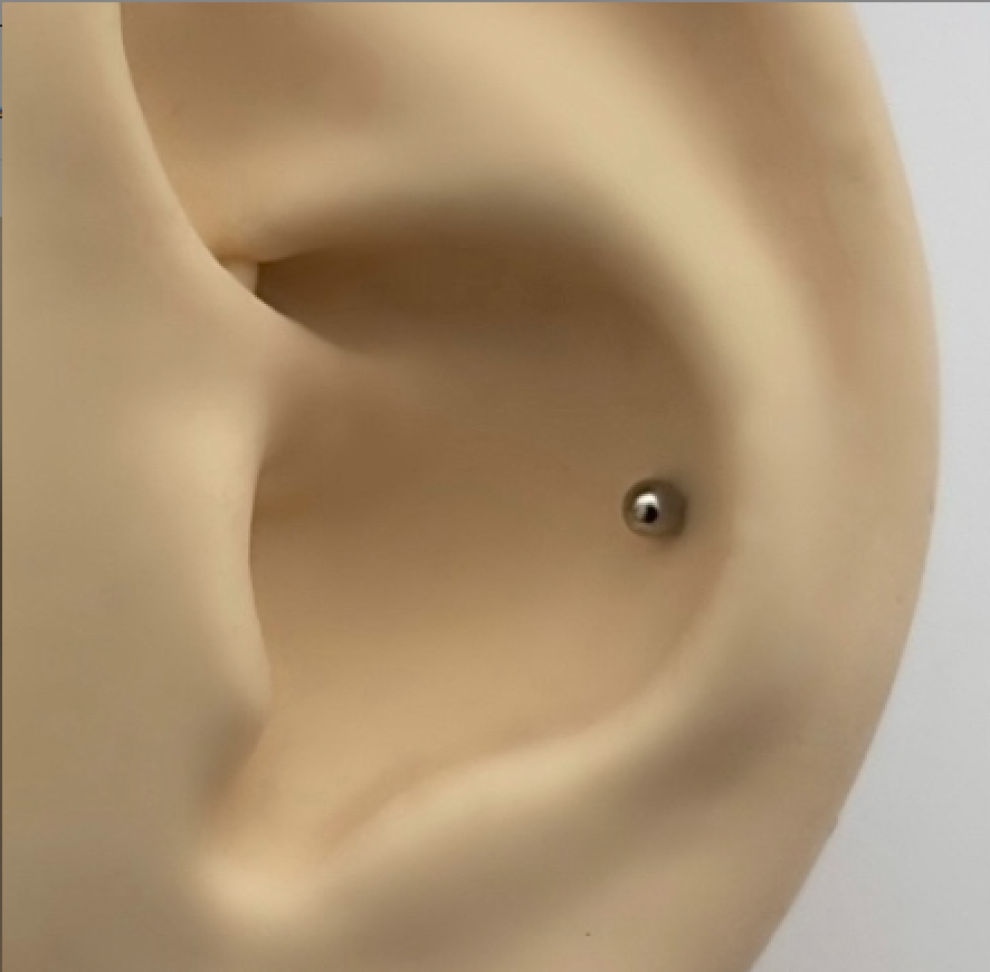 Piercing Labret Básico | 10mm