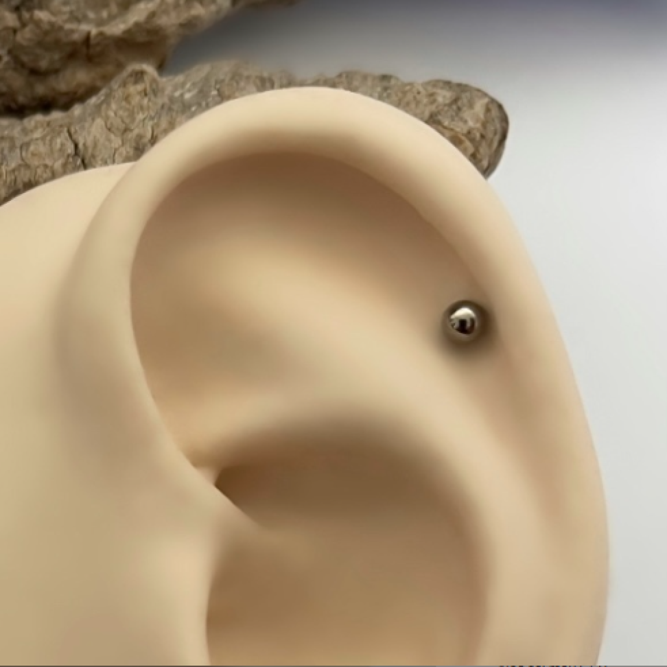 Piercing Labret Simples 6x1.2mm | Titânio