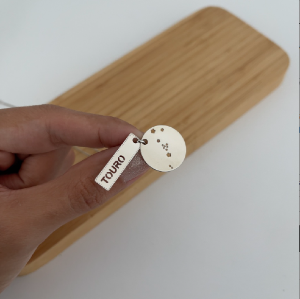 Colar Pingente Placa Signos Prateado - #6
