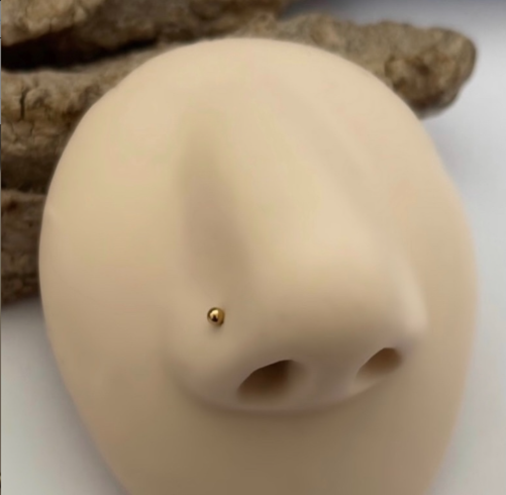 Piercing Nostril Simples | Titânio