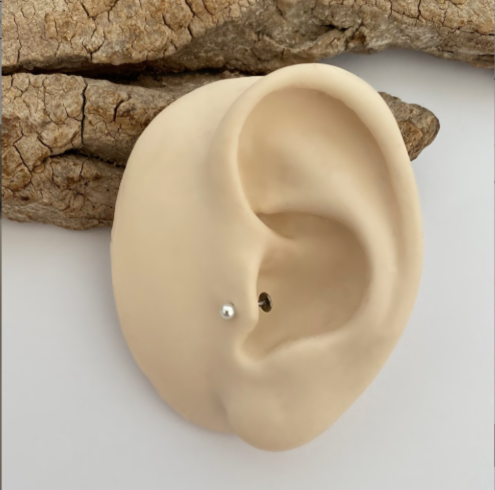 Piercing Labret Pérola