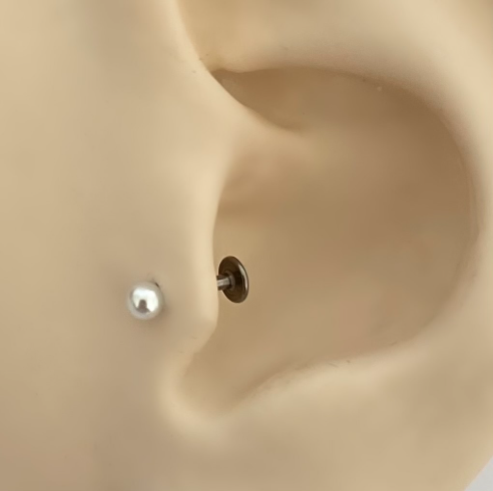 Piercing Labret Pérola