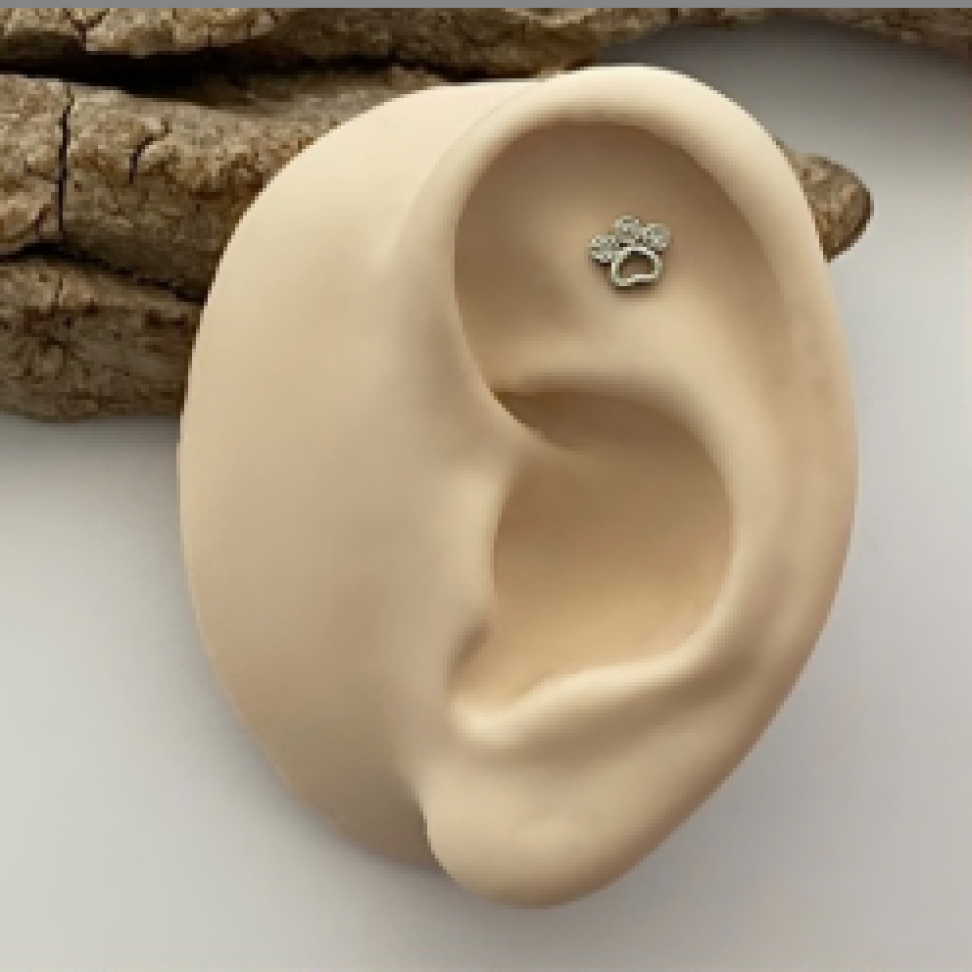 Piercing Patinha Zircônias