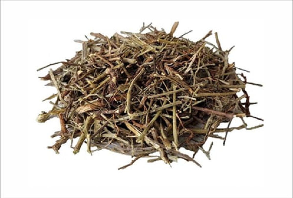 Cha QUEBRA PEDRA - 30g - Embalado - Pacote