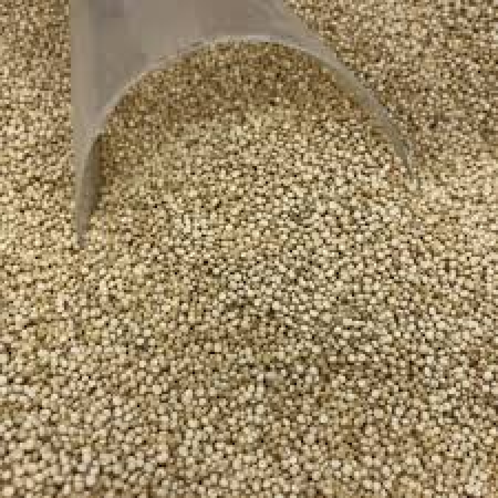 Quinoa BRANCA EM GRAO - 50g