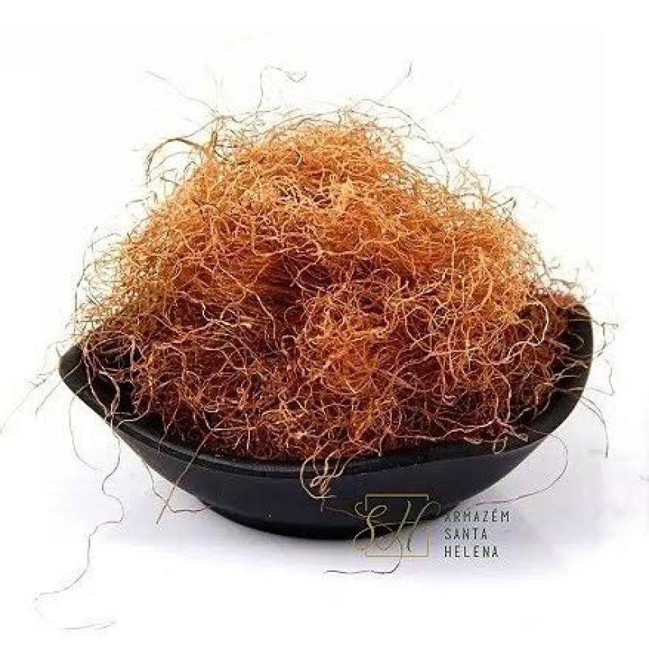 Cha CABELO DE MILHO - 30g - Embalado - Pacote FLORA