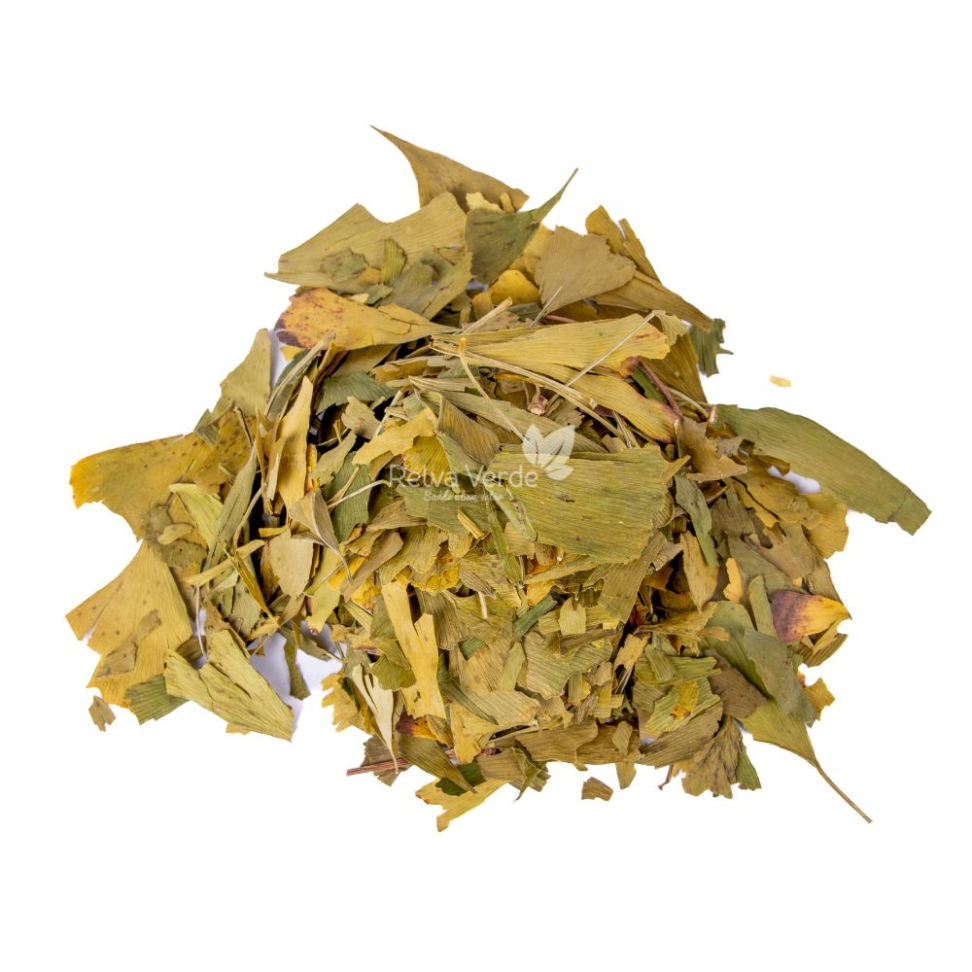 Cha GINKGO BILOBA - 30g - EMBALADO PACOTE CHAMEL