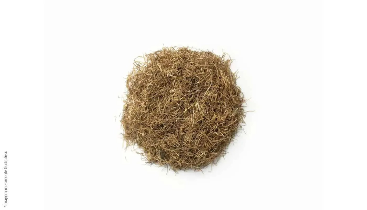 Cha CABELO DE MILHO PACOTE EMBALADO - 30G - FLORA
