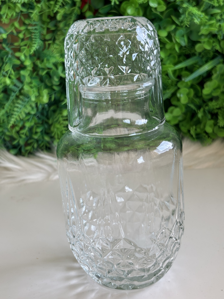 Garrafa 500ML e um copo ( moringa) - #1