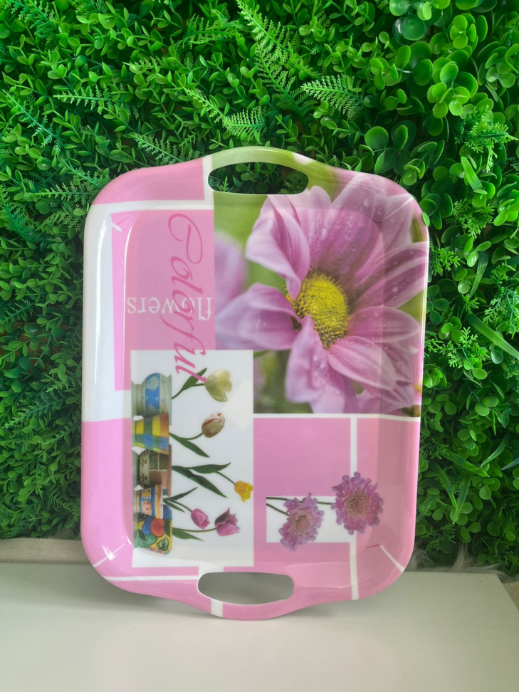 BANDEJAS DE PLÁSTICOS - ESTAMPAS VARIADAS