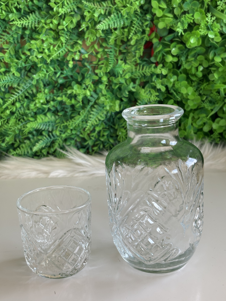 Garrafa 500ml e um copo ( moringa)