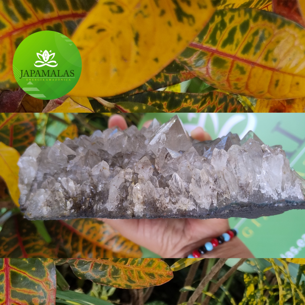 Grande Drusa de Quartzo Fumê Natural – Peça Monumental de Coleção e Decoração 1.598g - #9