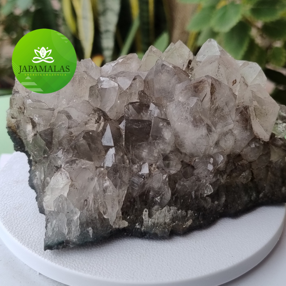 Pedra Decorativa Drusa Quartzo Fumê - #10