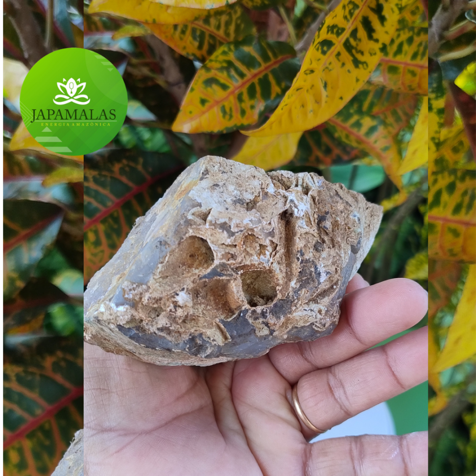 Drusa de Quartzo Hialino Bruto Natural – Força Cristalina em Peça Única (467g) - #10