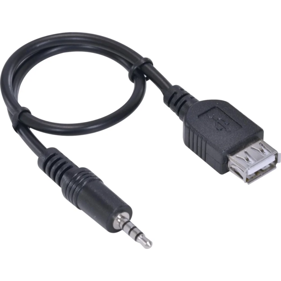 Cabo P2 X USB Femea PS2USBF-30 - VINIK