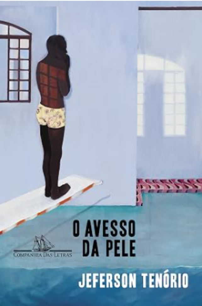 O avesso da pele