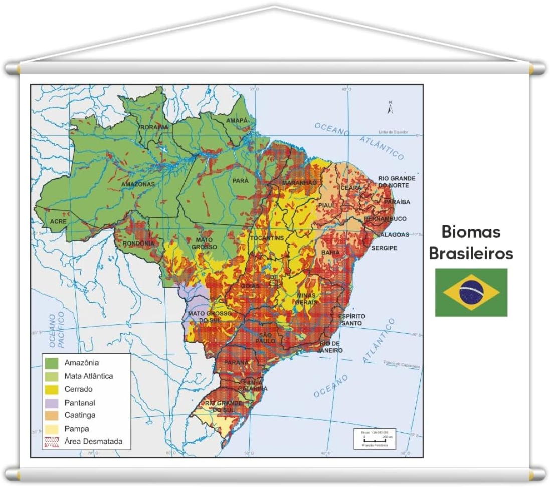 Banner Mapa Escolar Biomas Brasileiros Geografia 130x100cm
