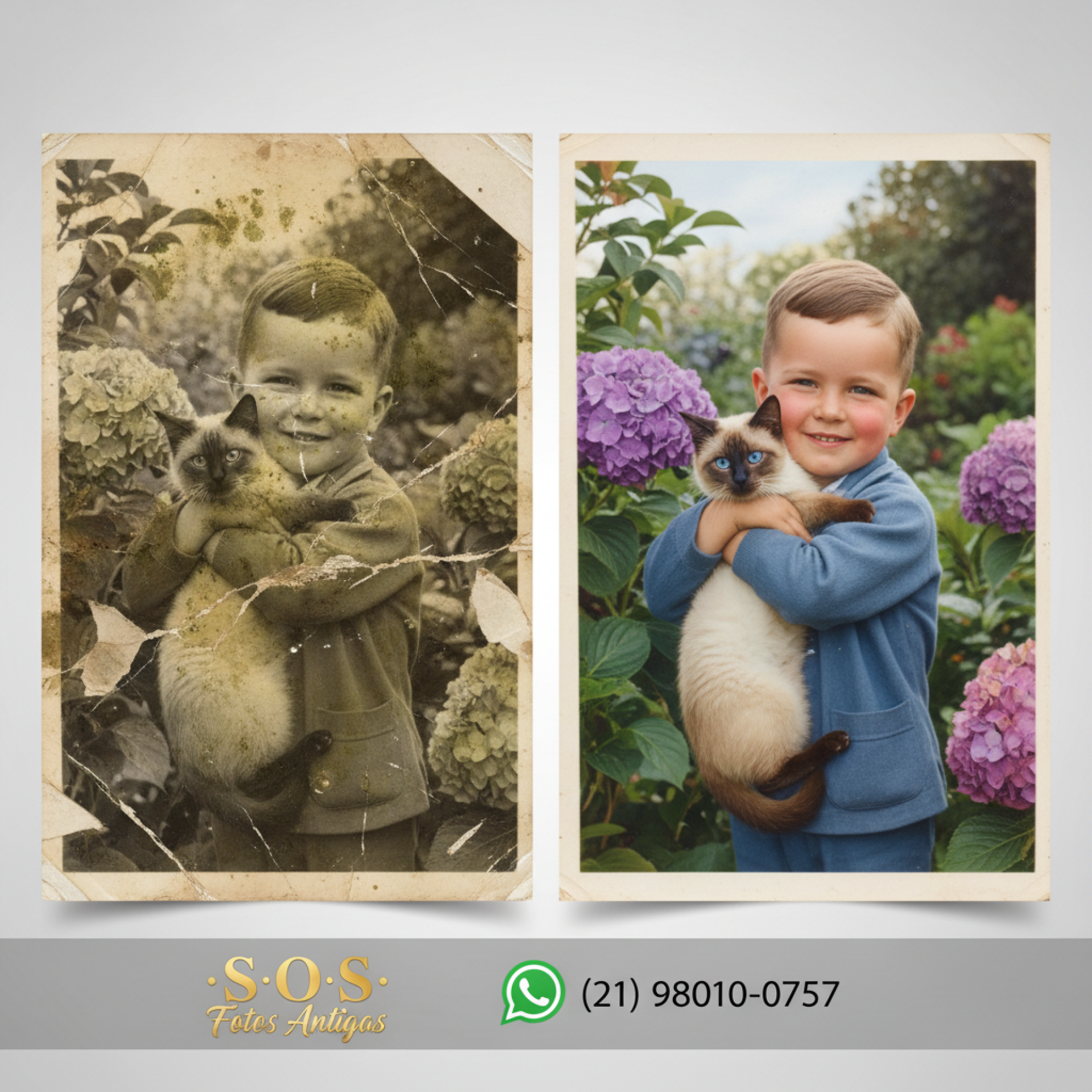 ESTUDO DE CASO: REVITALIZAÇÃO DE MEMÓRIAS - MENINO E GATO SIAMÊS