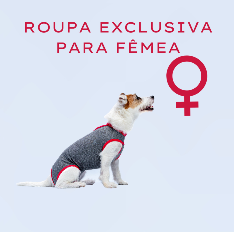 Roupa Pós Cirúrgica Pet Castração Fêmea Nº 9 KeePets - #4