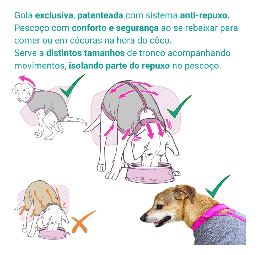 Roupa Pós Cirúrgica Pet Castração Fêmea Nº 9 KeePets - #5