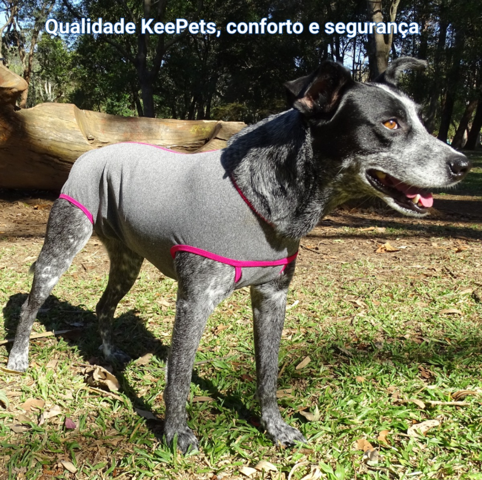 Roupa Pós Cirúrgica Pet Castração Fêmea Nº 9 KeePets - #8