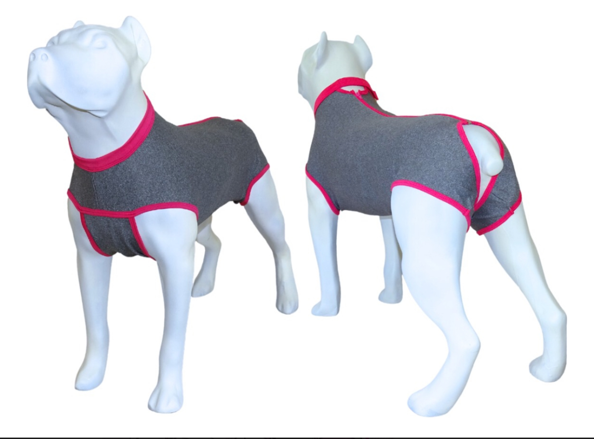 Roupa Pós Cirúrgica Pet Castração Fêmea Nº 9 KeePets - #3