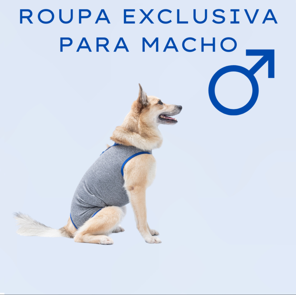 Roupa Pós Cirúrgica Pet Castração Macho Nº 3 KeePets - #3