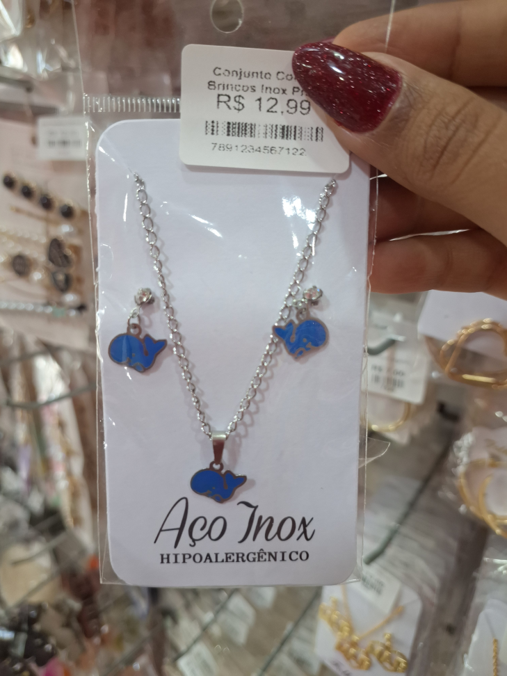 Conjunto Colar e Brinco Inox Prata