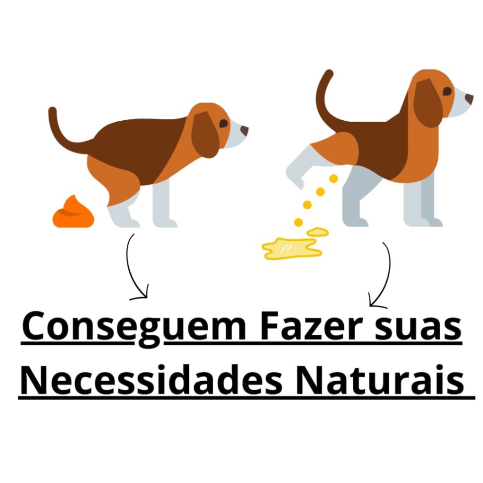  - #3 - main