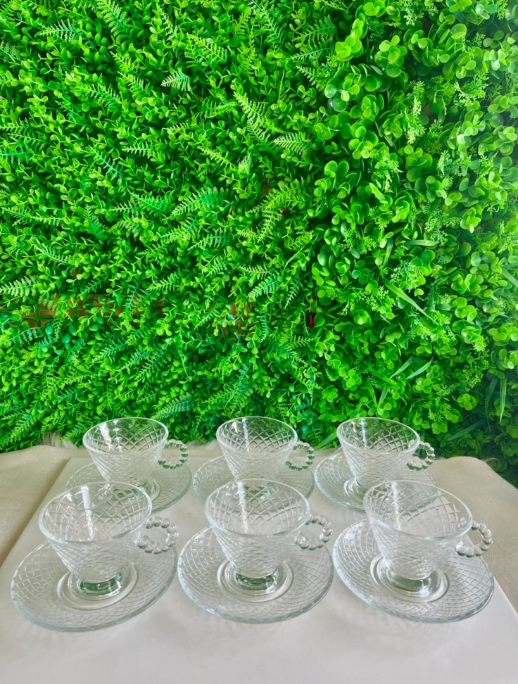 CONJUNTO -6 XÍCARAS DE VIDRO COM PIRES (DETALHADA) - 165 ML