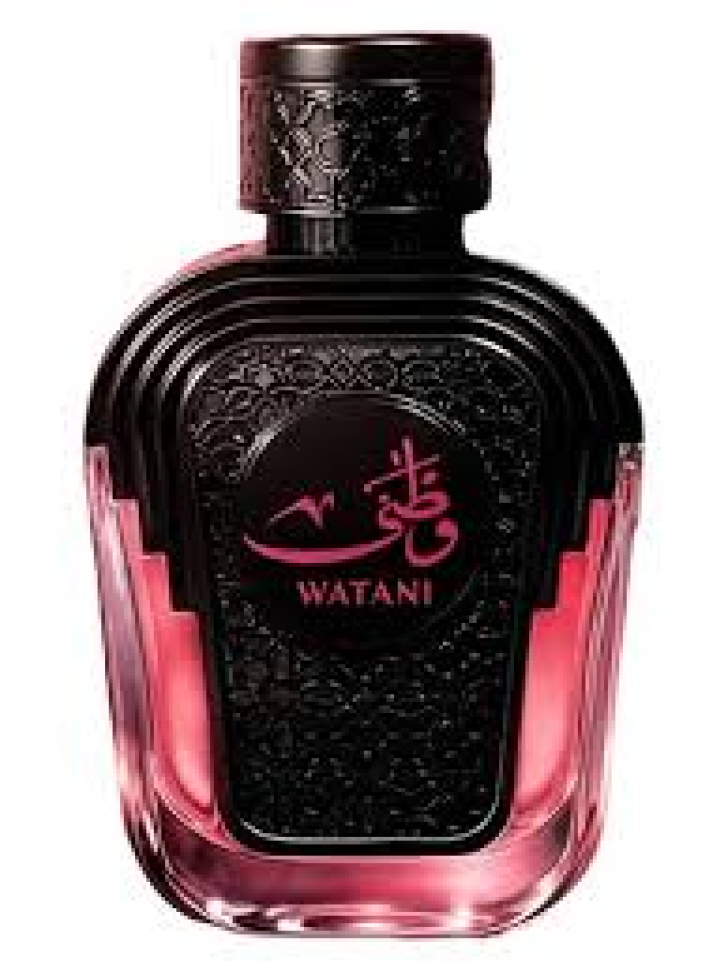 LANÇAMENTO Decant Watani Pink 5ml