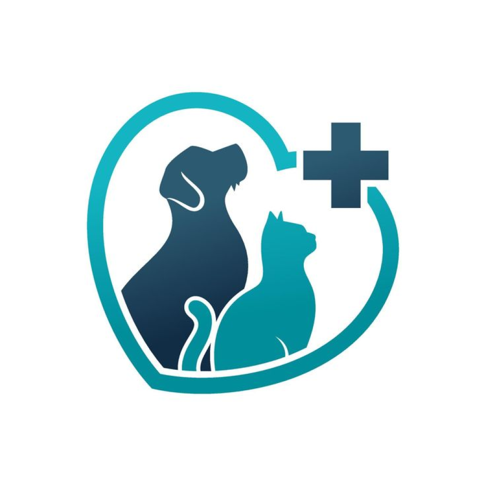 Veterinária
