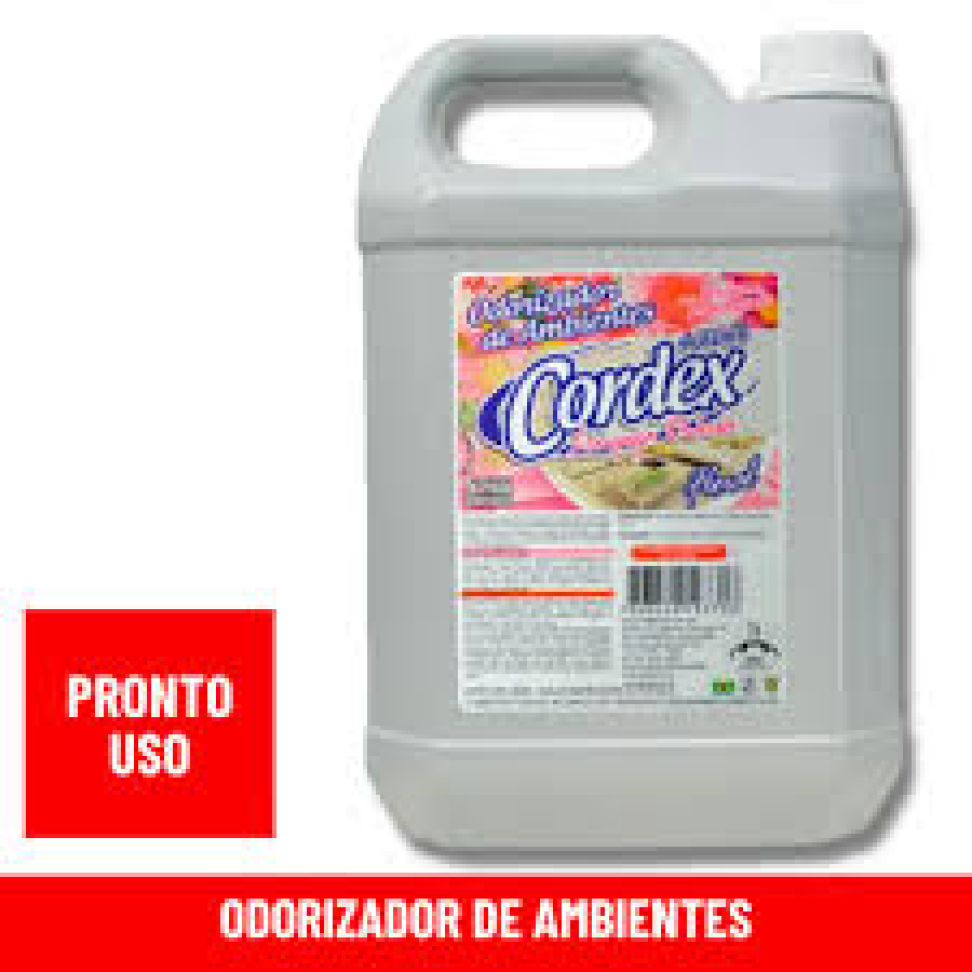 Odorizador Perfumado Ambiente Foral / Lavanda - 5 litros
