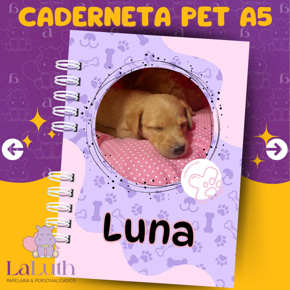 Caderneta PET - PREMIUM - A5