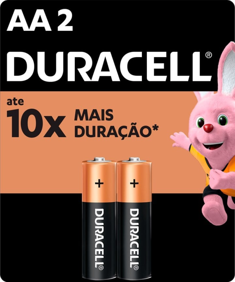 Pilha Alcalina Duracell AA C/2