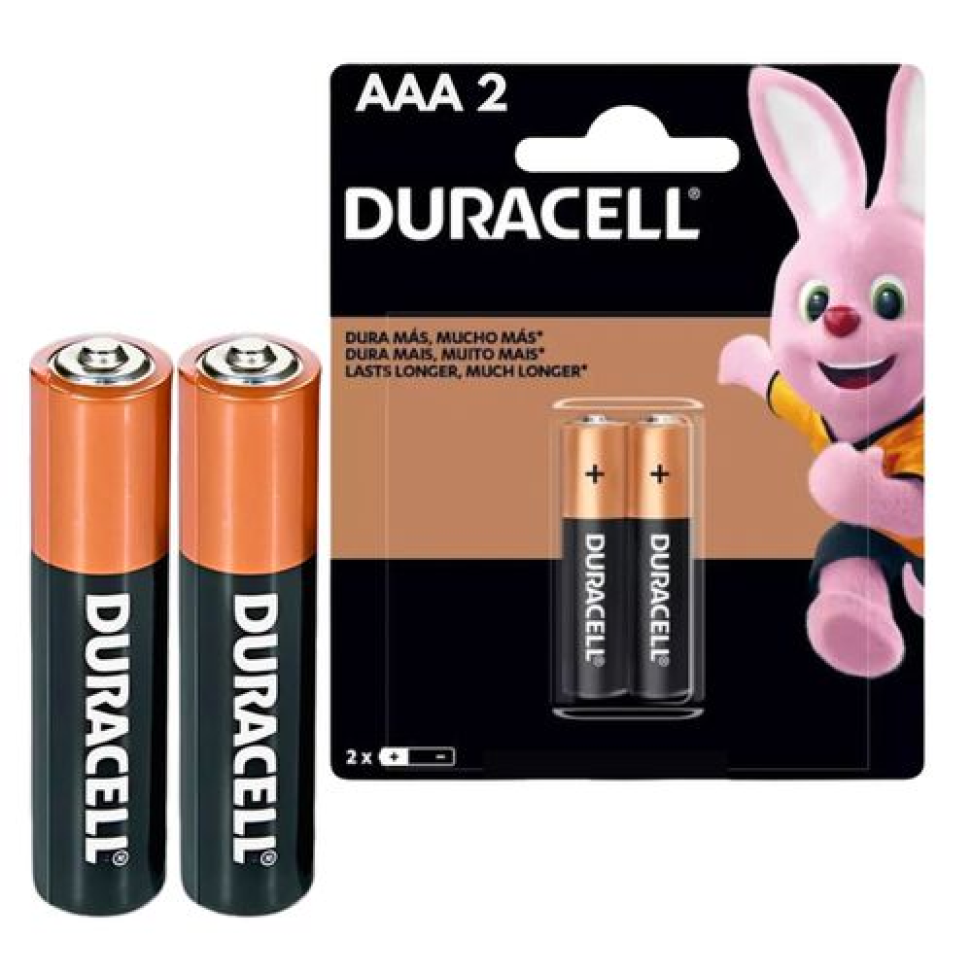 Pilha Alcalina Duracell AAA C/2